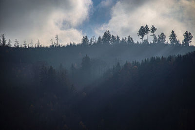 Scenic view of trees against sky during foggy weather