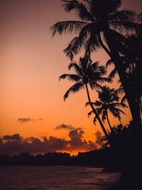 Silhouette palm tree by sea against romantic sky at sunset