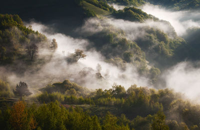 Scenic view of mountains 