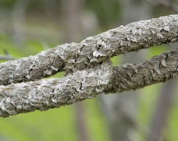 Close-up of rope tied on metal