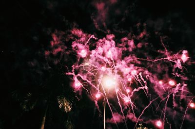 Low angle view of firework display at night