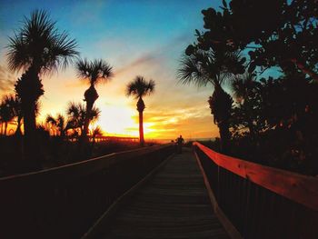 Scenic view of palm trees against sky during sunset