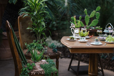 Potted plants on table at yard