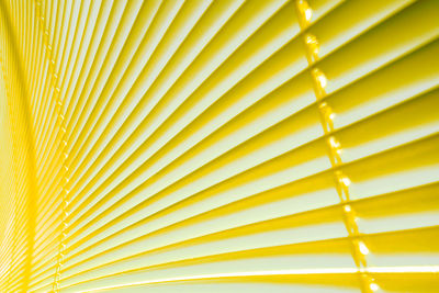 Full frame shot of yellow pattern