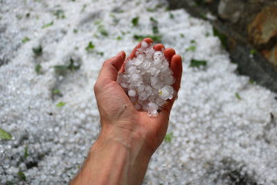 Close-up of hand holding rock