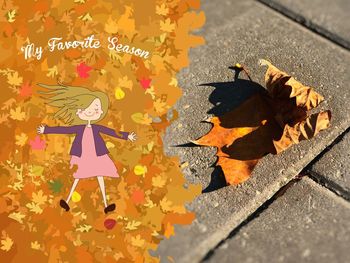 High angle view of maple leaves on footpath during autumn