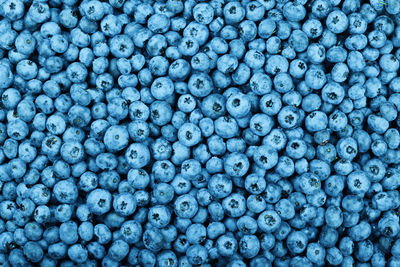 Close up background pattern of fresh ripe blueberry berries, elevated top view, directly above