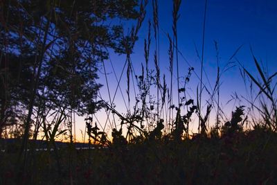 Silhouette trees on field against sky during sunset