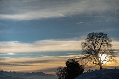 Silhouette bare tree against sky during sunset
