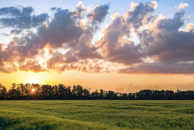 Scenic view of field against sky during sunset