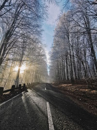 Road amidst bare trees against sky in city