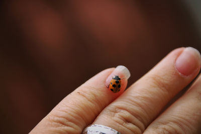 Close-up of hand holding ladybug