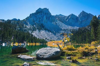 Scenic view of lake by trees against clear blue sky