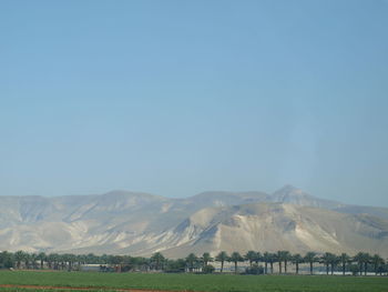 Scenic view of field against clear sky