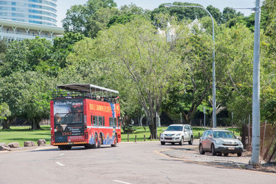 Cars on road by trees in city