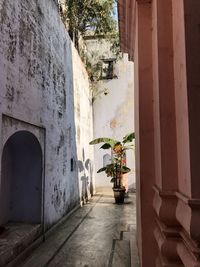 Peaceful mumbai courtyard 