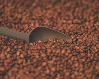 Close-up of coffee beans on table