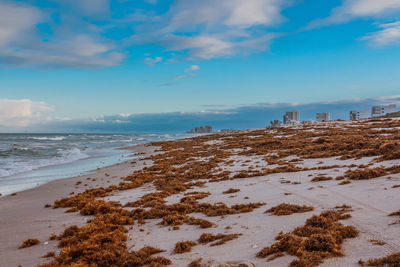 Scenic view of beach against sky