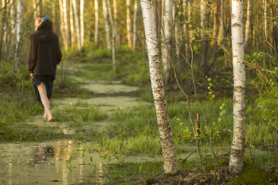 Rear view of woman walking in swamp against trees at forest