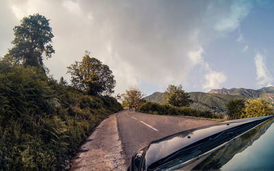 Panoramic view of road amidst trees against sky