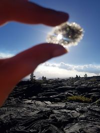 Close-up of woman holding leaf against sky