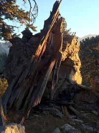 Low angle view of rock formation against sky