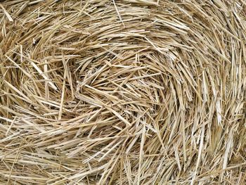 Full frame shot of hay bales