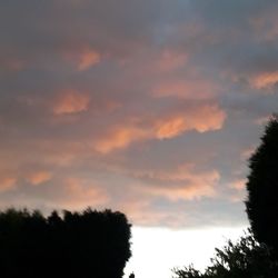 Low angle view of silhouette trees against sky at sunset