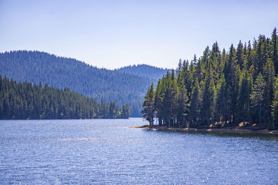 Scenic view of lake in forest against sky