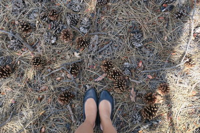 Low section of woman standing on floor