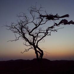 Silhouette of bare tree against sunset sky