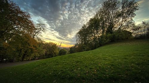 Trees on field against sky during sunset