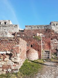 Remains of the belgrade fortress against blue sky and guest - chow chow