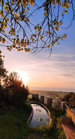 Scenic view of tree against sky during sunset