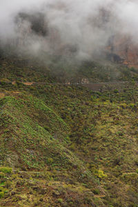 Scenic view of landscape against cloudy sky
