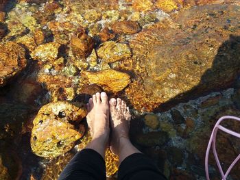 Low section of person standing on rock