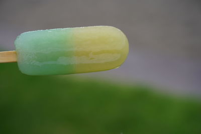 Close-up of ice cream