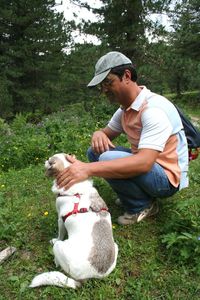 Man with dog sitting on grass