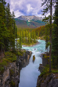 Scenic view of waterfall in forest against sky