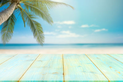 Close-up of palm tree by swimming pool against sky