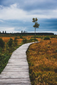 Empty road along plants on field against sky