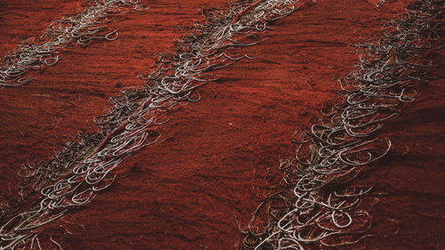 Full frame shot of fishing net