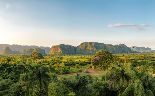 Panorama photo of the beautiful vinales valley in cuba