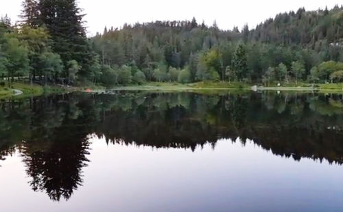 Reflection of trees in lake against clear sky