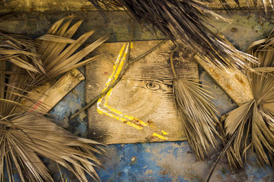 Close-up of eagle in cage