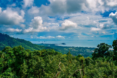 Scenic view of forest against sky