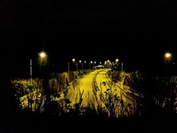 Illuminated plants against sky at night