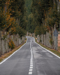 Empty road along trees in forest