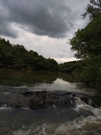 Scenic view of river in forest against sky