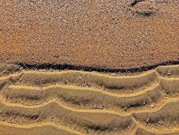 High angle view of beach